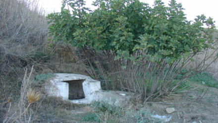 Pozo