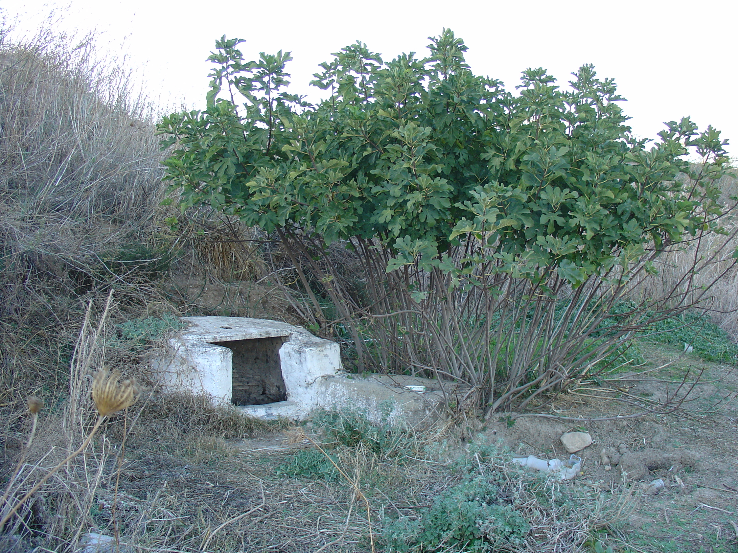 Pozo